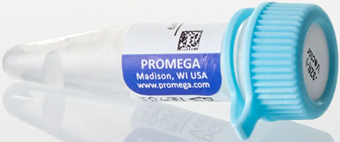 Promega P2261 pGEM-3Zf Vector