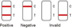 Test Procedure