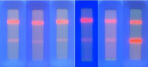 Negative Test