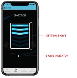 E-GIVE ADJUSTMENT