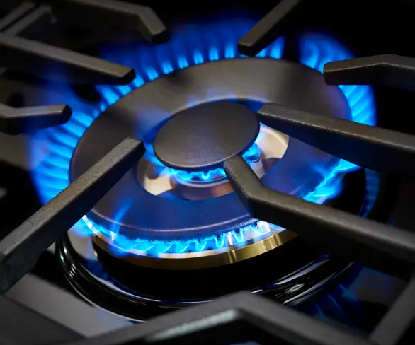 22K Dual Power Burner