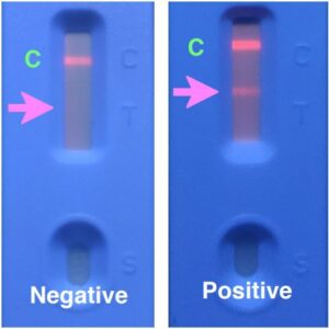 Covid-19 Test
