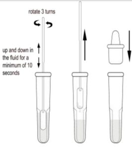Test Procedure