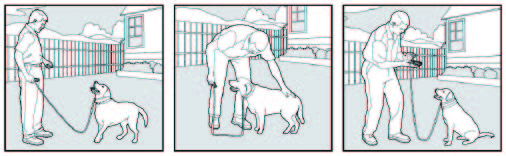 ABBIDOT-T30-E-Shock-Collar-2-Dogs -01 (1)