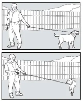 ABBIDOT-T30-E-Shock-Collar-2-Dogs -01 (20)