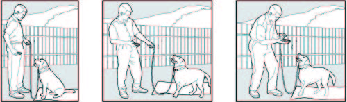 ABBIDOT-T30-E-Shock-Collar-2-Dogs -01 (3)