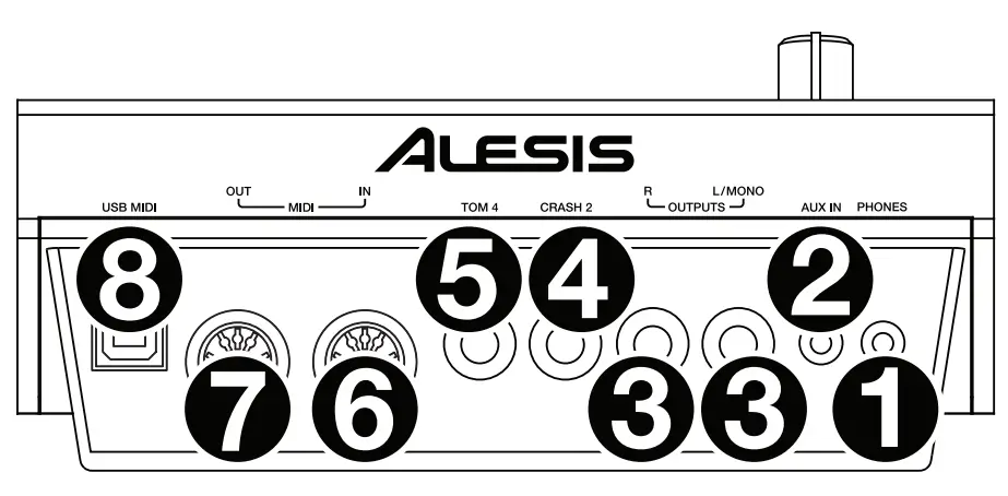 Rear Panel