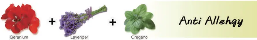 ASAKUKI ASK001 Premium Essential Oil Diffuser - d4