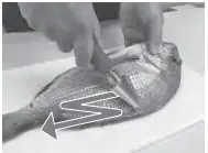 Asahi-AST-150-Electric-Fish-Scaler-FIG- (4)