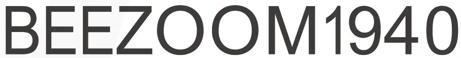 BEEZOOM logo