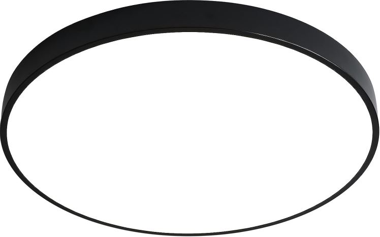 BEGA-24648-Ceiling-and-Wall-Luminaire-product-img