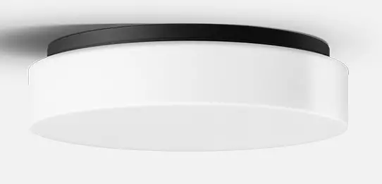 BEGA-89758-1-Ceiling-and-Wall-Luminaire-product