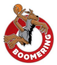 BOOMERING-LOGO