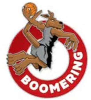 BOOMERING - logo