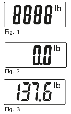 Beurer-BG-17-Glass-Body-Analysis-Scale-fig- (3)