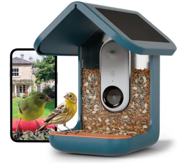 Bird-Buddy-Original-Smart-Bird-Feeder-product