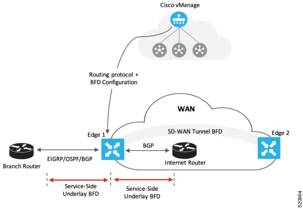 CISCO Catalyst SD WAN BFD for Routing Protocols - overview 1