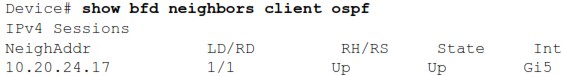 CISCO Catalyst SD WAN BFD for Routing Protocols - overview 4