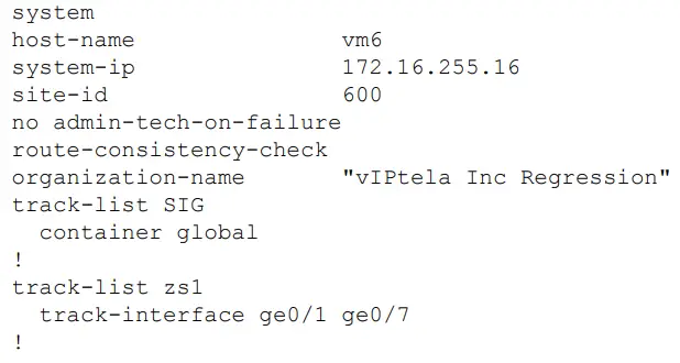 CISCO-SD-WAN-Vrrp-Interface-Tracking-FIG-16