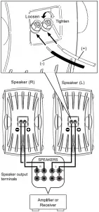 CONNECTIONS TO YOUR AMPLIFIER