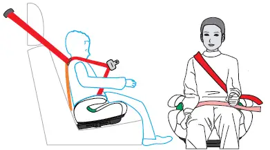 COZY-N-SAFE-EST020-Size-Booster-Seat-fig-7