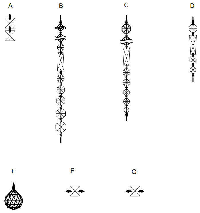 CRYSTORAMA ROS A1009 CH CL MWP Roslyn Nine Light Chandelier - ILLUSTRATION