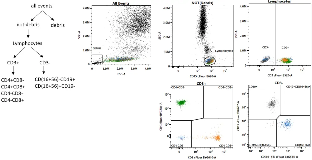 CYTEK R7-31001 6-Color TBNK-SL Reagent 01