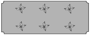 CedarCraft-AIM-CC-SW2147A-F-DBI-Self-Watering-Elevated-Planter-fig 18