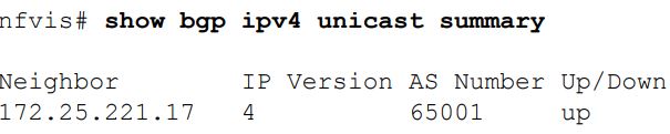 Cisco-NFVIS-4-4-1-Enterprise-Network-Function-Virtualization-Infrastructure-Software-fig-14