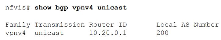 Cisco-NFVIS-4-4-1-Enterprise-Network-Function-Virtualization-Infrastructure-Software-fig-16