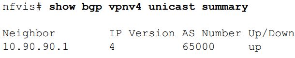 Cisco-NFVIS-4-4-1-Enterprise-Network-Function-Virtualization-Infrastructure-Software-fig-17
