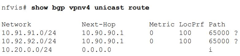 Cisco-NFVIS-4-4-1-Enterprise-Network-Function-Virtualization-Infrastructure-Software-fig-18
