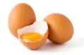 DASH-DEG255-Deluxe-Rapid-Egg-Cooker-FIG-1 (15)