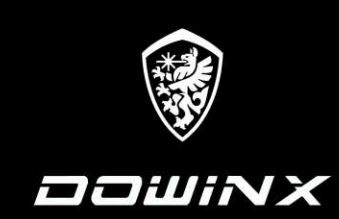 DOWINX Logo
