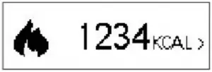 Data view calories Mode