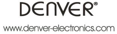 Denver Logo