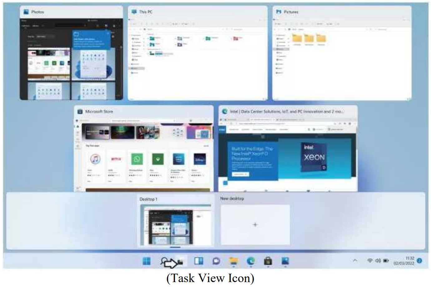 Task View