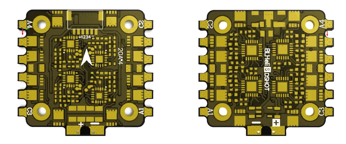 ESC Model