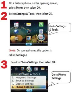 FIG 17 Set Up a Feature Phone