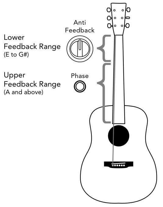 FISHMAN Loudbox Artist Bluetooth Amplifier - About Acoustic Feedback