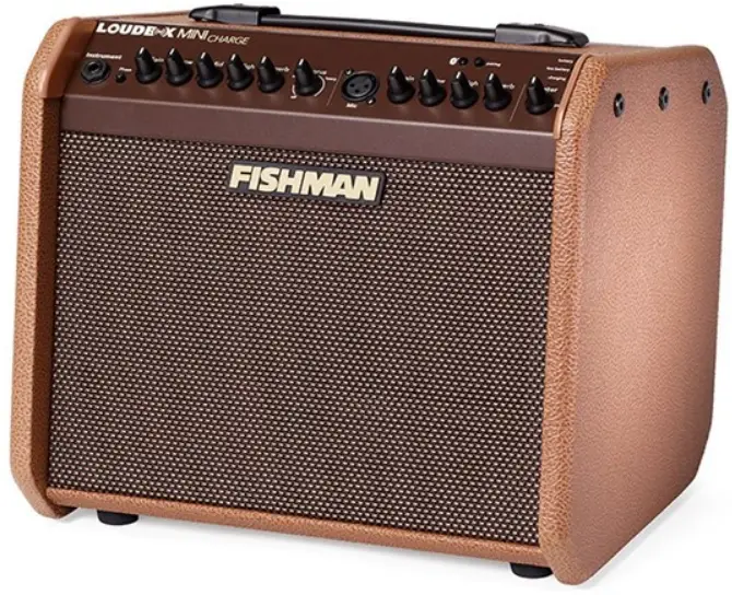 FISHMAN-Loudbox-Mini-Portable-Amplifier-product