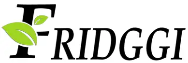 FRIDGGI-logo