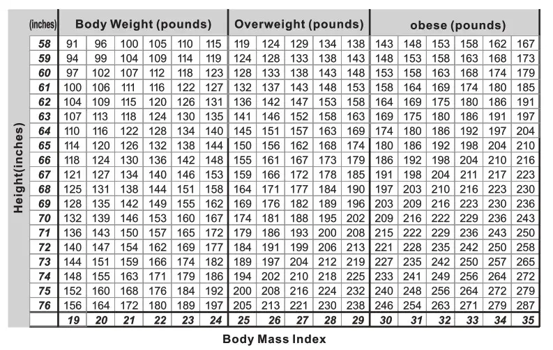 Famili Digital Bathroom Scale FM-272 - Body Mass Index 2