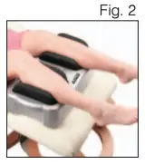 Fig. 2
