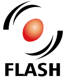 Flash Logo