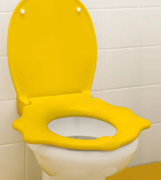 GEBERIT-971.915.00.0-Bambini-Toilet-Seat-Cover-For-Children