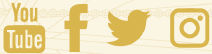 GOLDEN-CYCLES-Fixed-Gear-Bicycle-fig-19
