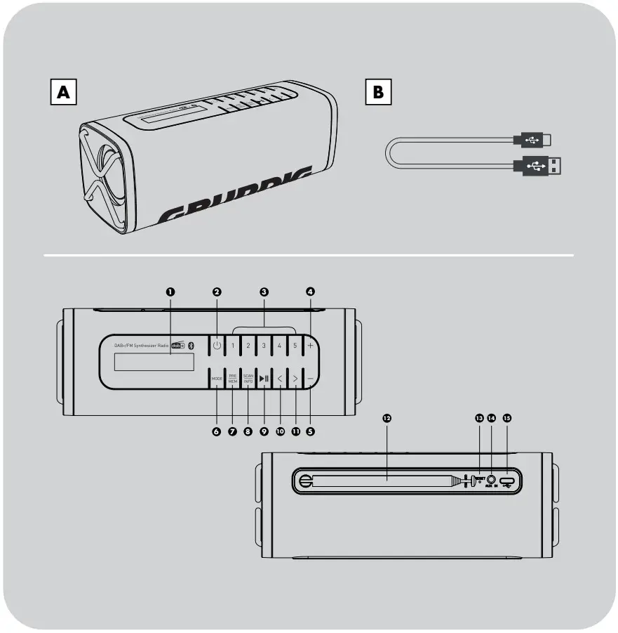 GRUNDIG Bluetooth Speaker with DAB or FM Radio