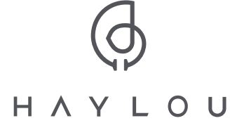 HAYLOU-LOGO