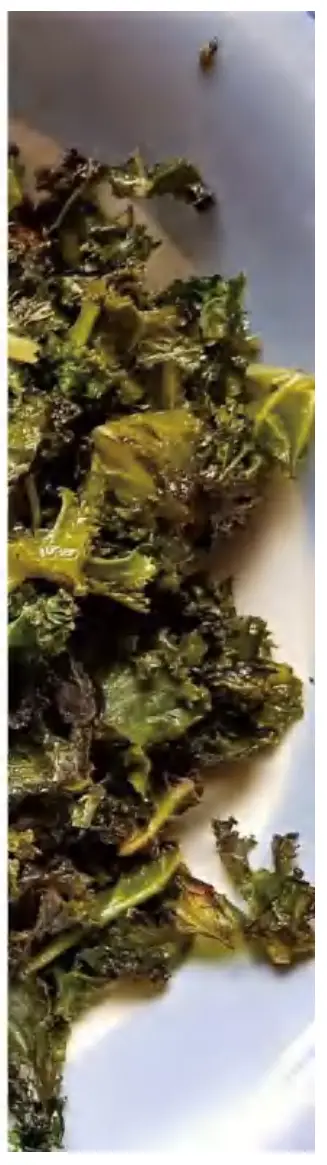 HITECLIFE Palla Air Fryer Toaster Oven - rolls3